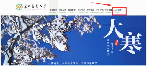 年薪80万,安家费50万 ,当高校扎堆招博士